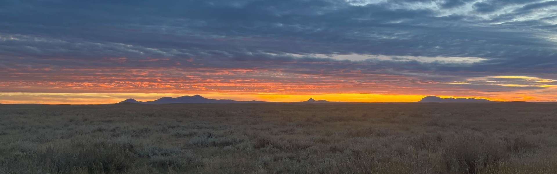 Guided Pronghorn Hunts in Alberta