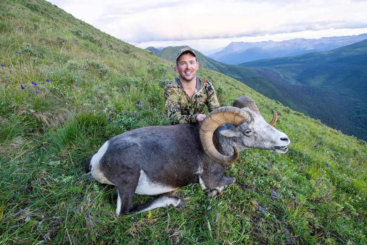 Stone Sheep Hunting in Canada