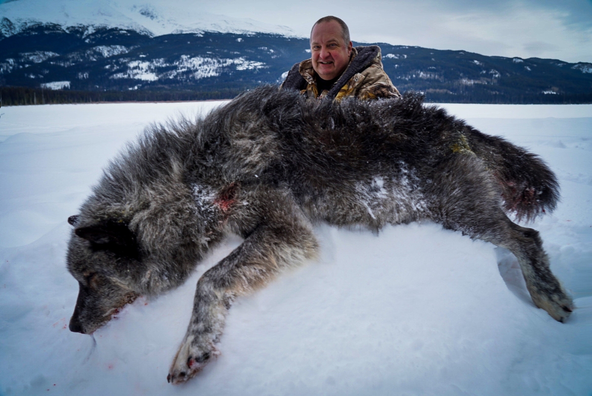 Wolf Hunts Tuchodi River Outfitters Ltd