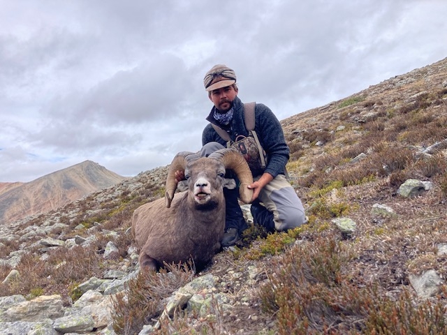 Bighorn Hunting in Alberta