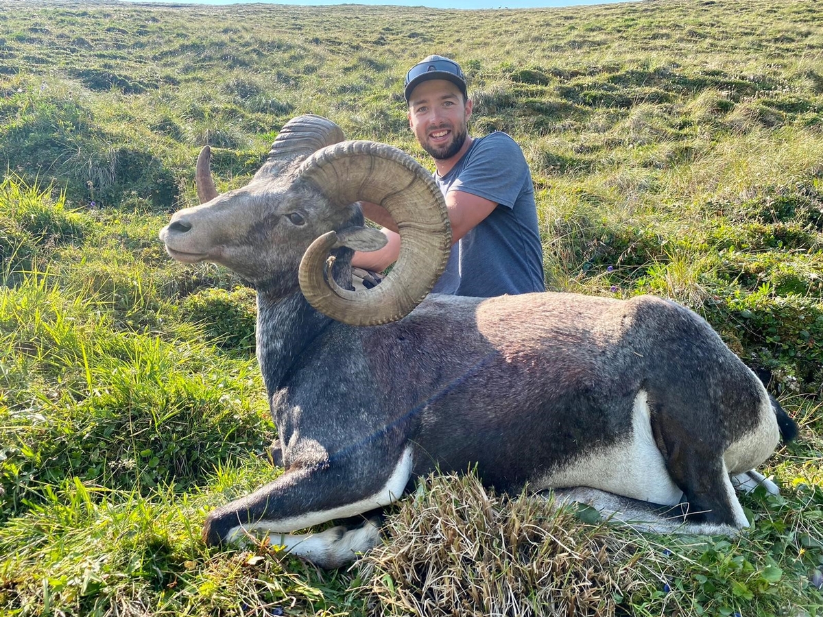 Guided Stone Sheep Hunts | British Columbia Sheep Hunting