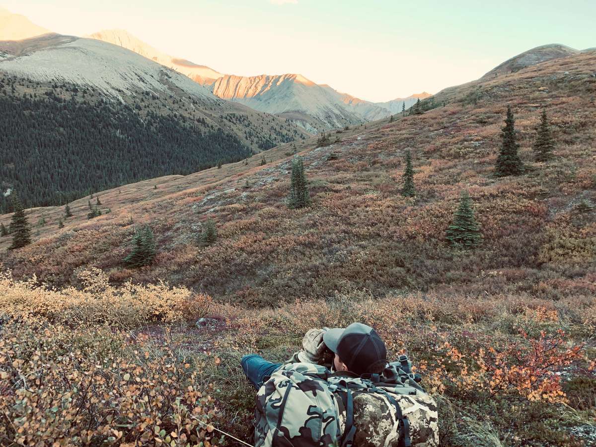 Moose Hunting in Canada