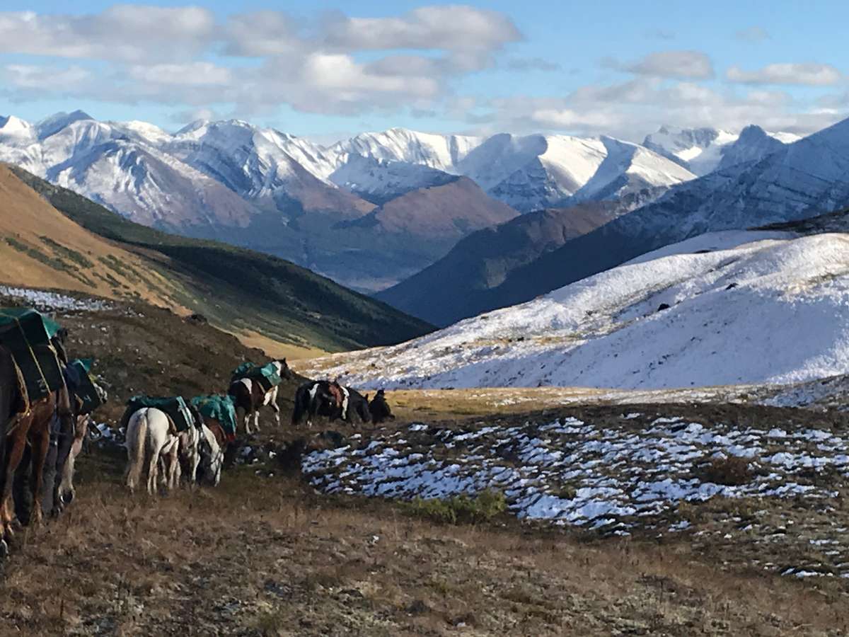 Northern Rocky Mountains BC